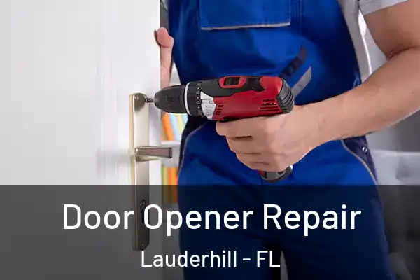 Door Opener Repair Lauderhill - FL