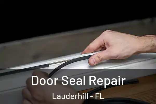 Door Seal Repair Lauderhill - FL
